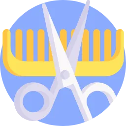 صالون